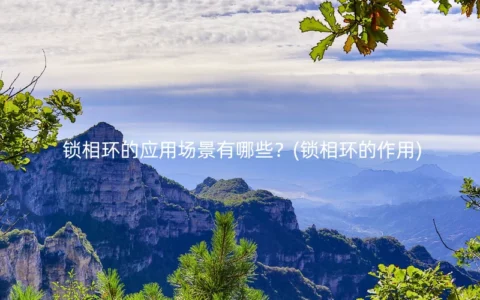 锁相环的应用场景有哪些？(锁相环的作用)