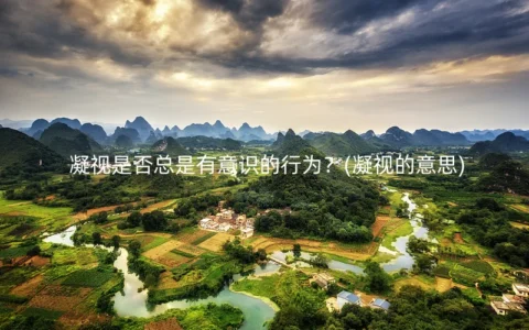 凝视是否总是有意识的行为？(凝视的意思)