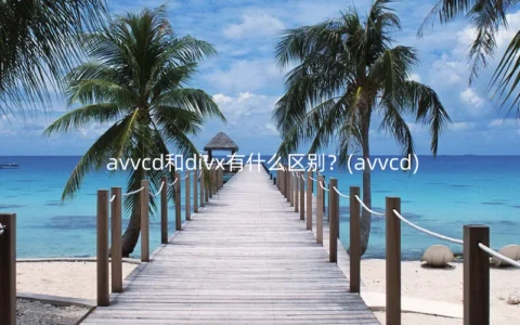 avvcd和divx有什么区别？(avvcd)