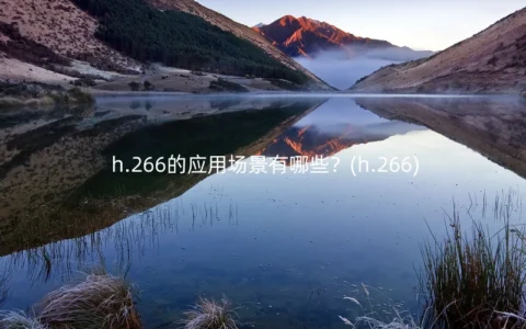 h.266的应用场景有哪些？(h.266)