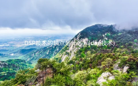 DSP技术的缺点是什么？(dsp技术)