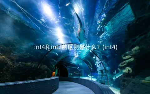 int4和int2的区别是什么？(int4)