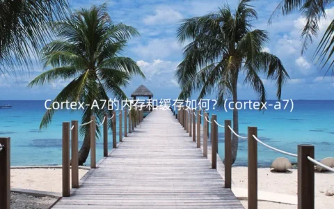 Cortex-A7的内存和缓存如何？(cortex-a7)