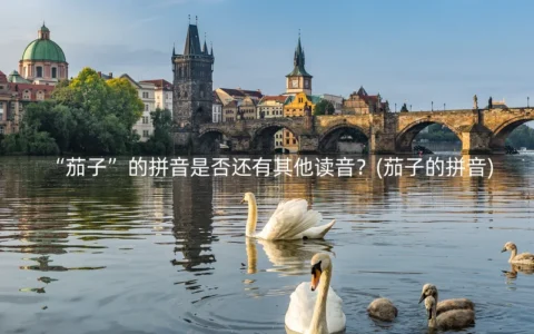 “茄子”的拼音是否还有其他读音？(茄子的拼音)