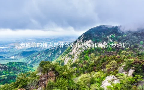 同步通信的特点是什么？(同步通信和异步通信)