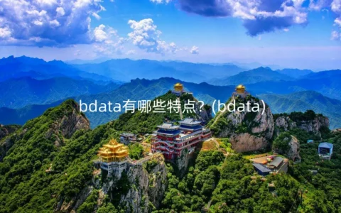 bdata有哪些特点？(bdata)