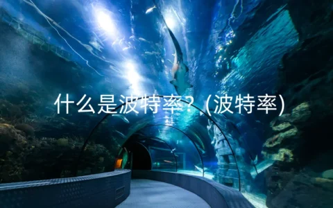 什么是波特率？(波特率)