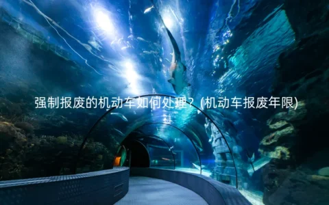 强制报废的机动车如何处理？(机动车报废年限)