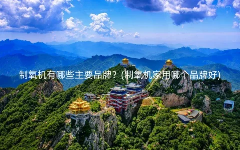 制氧机有哪些主要品牌？(制氧机家用哪个品牌好)