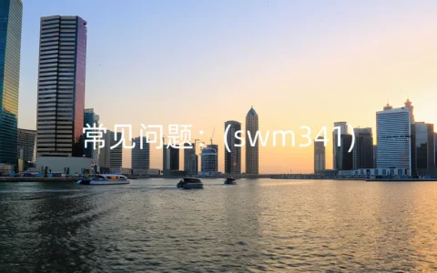 swm341是什么(swm341)