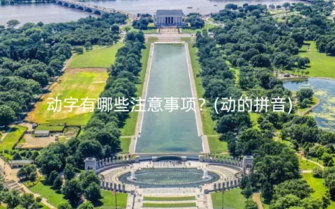 动字有哪些注意事项？(动的拼音)