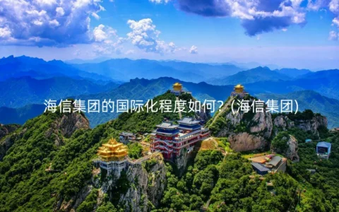 海信集团的国际化程度如何？(海信集团)