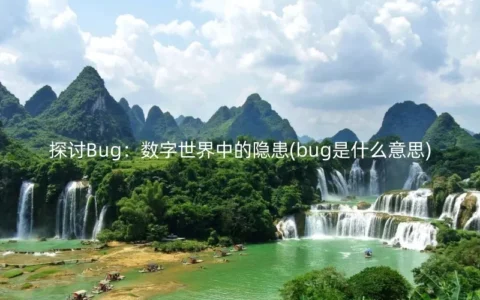 探讨Bug：数字世界中的隐患(bug是什么意思)