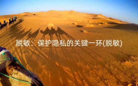 脱敏：保护隐私的关键一环(脱敏)