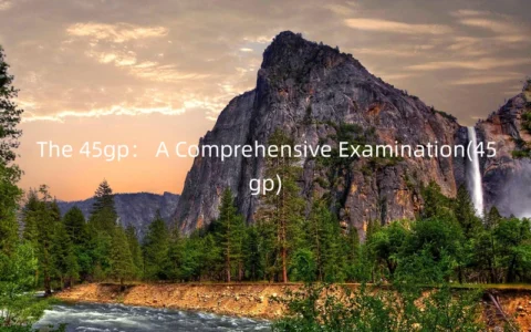 The 45gp： A Comprehensive Examination(45gp)