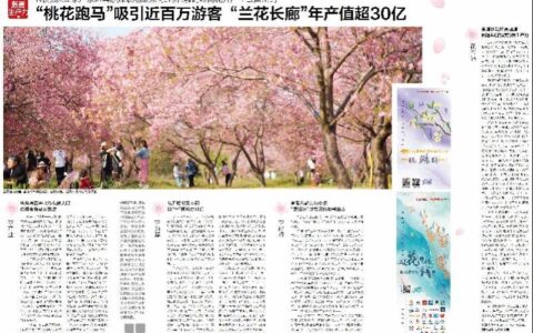 “桃花跑马”吸引近百万游客，“兰花长廊”年产值超30亿元