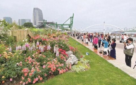 “繁花”满城，上海文旅长尾效应明显