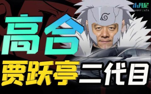 丁磊和高合汽车是什么关系？