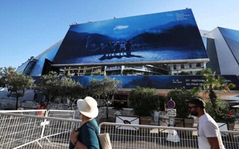 中国明星闯戛纳红毯，引发热议！如何展现更加专业的态度？