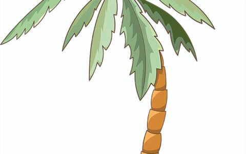 周末游玩 | 夏日纳凉计划，来啦！