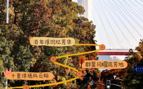 秋日的上海，CityWalk才是正经事！4条经典线路开启城市漫步