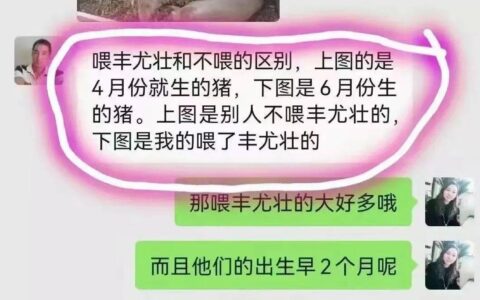 2024年5月25日 全国猪价全国继续大涨！