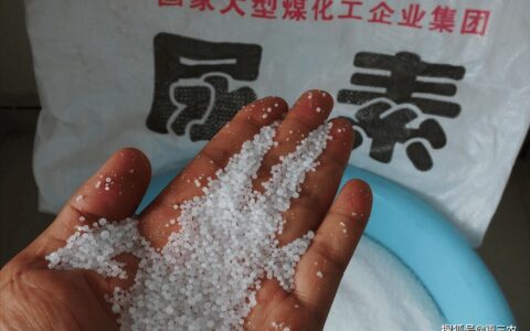 油价“跌不停”！5月25日调价后92/95号汽油价格，尿素如何？