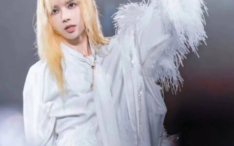 原创
            华晨宇演唱会造型曝光，金发浓妆撞脸鞠婧祎，评论区尴尬了-华晨宇同台演唱男星