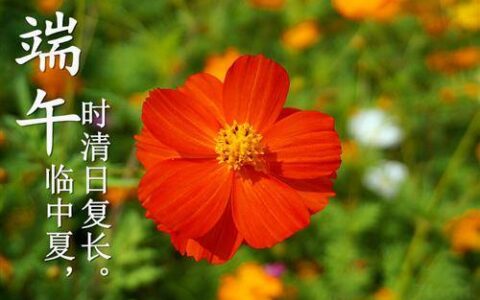 扬州的端午节习俗