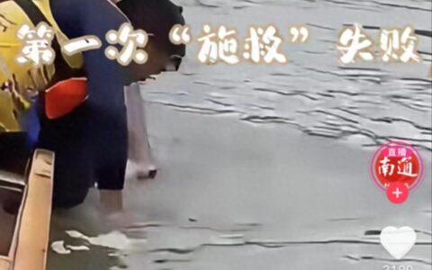 笑喷！62斤大鱼露头看划龙舟被一浆拍晕，网友评论神了！-全国呼吸内科医院排名最新