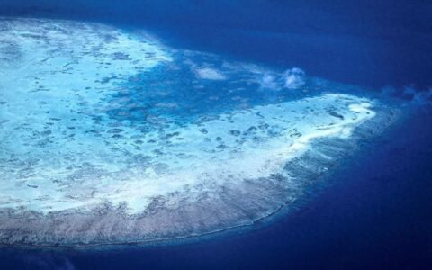 海水长时间异常高温：全球珊瑚礁正在发生第四次白化-珊瑚礁白色如何辨别真伪