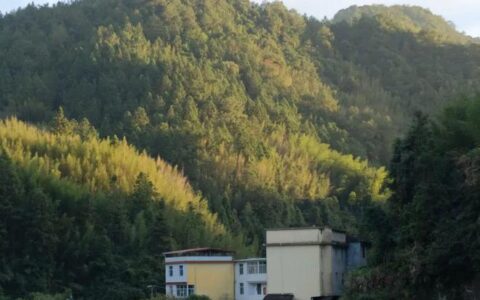 藏在莆田山谷里的“按摩路”，是夏日露营野炊又一秘处！-莆田山里哪里好玩