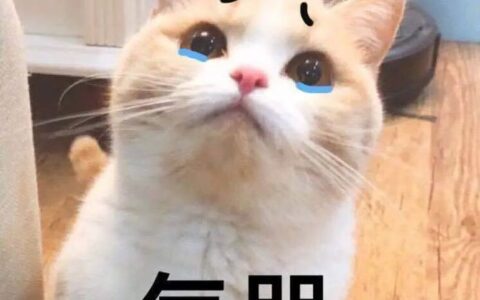浙江女子婚礼后哭了三夜：人生留下了污点！只因婚宴上…-浙江一女子出嫁
