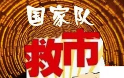 重磅！时隔201天，国家队再次“救市”，这次盯上的是它！-国家进场救市