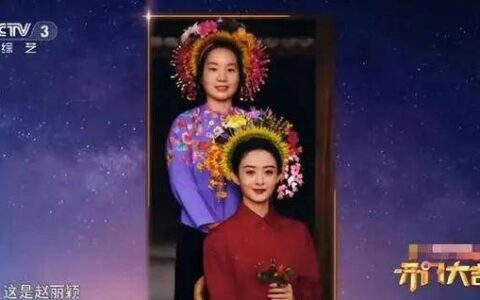 赵丽颖簪花造型惊艳亮相，央视力挺背后有何玄机？-赵丽颖发饰