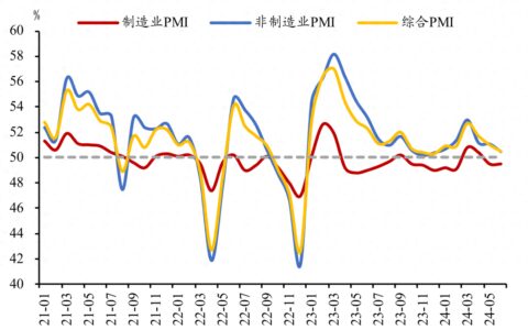 如何理解6月PMI？-六月份种什么菜蔬菜最合适