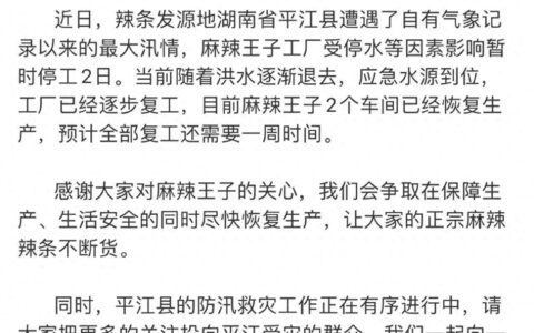 麻辣王子停工上热搜！全国超九成辣条企业由平江人创办-麻辣王子公司