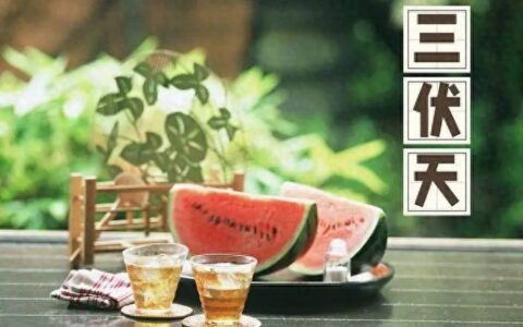 三伏天的茶之约：正确的喝茶指南！-饮茶怎么饮