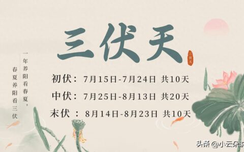 三伏天，饮什么茶更消暑？5款解暑祛湿茶饮，请收下！-什么茶解暑降温效果好