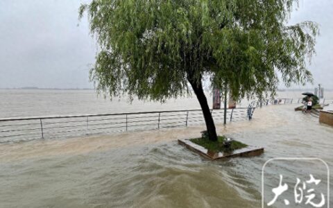芜湖长江水位上涨 “一家三口”已“深陷孤岛”-芜湖长江水流方向