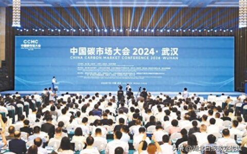 全球最大碳市场运行3年，促进减排约9亿吨二氧化碳——南南合作国家在汉 “取经”中国减碳方案-全球碳排放最大的行业
