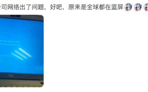 “微软蓝屏”风波影响全球约850万台Windows设备 马斯克：这是史上最大IT失败-microsoft蓝屏错误解答