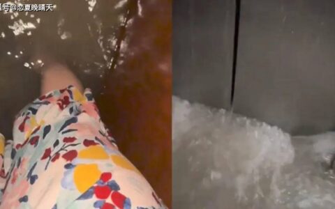 母女乘电梯暴雨涌入 水深到腿部-电梯妈妈托举孩子