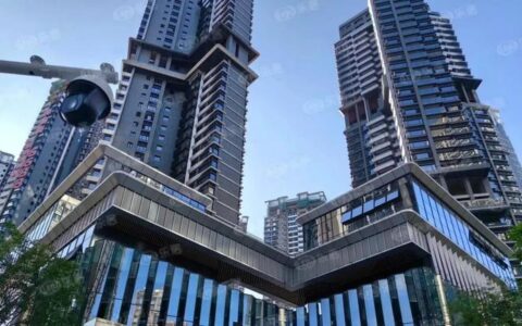 深圳豪宅大宴开启，海德园A区不过是开场秀？-深圳海德园楼盘