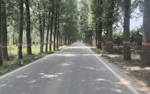夏天，总要来趟这里吧-夏天就要到了