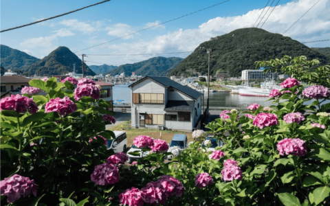 原创
            日本大地震警报引发的“退订潮”：危机与应对-日本大地震2020